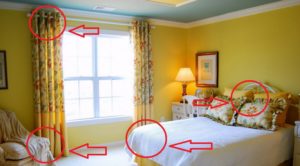 What to do when you discover bed bugs in your hotel